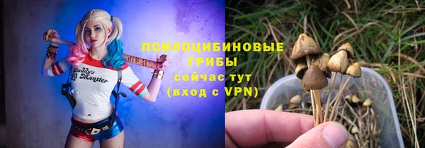 соль ск Сатка