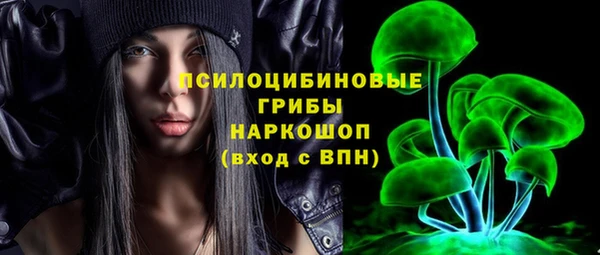 spice Дубовка