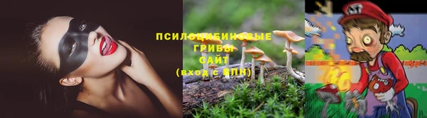мяу мяу мука Семёнов