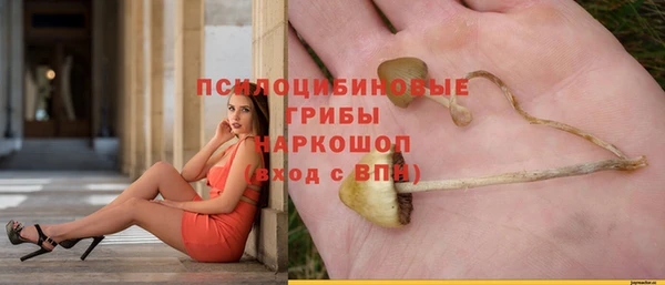 мяу мяу мука Семёнов
