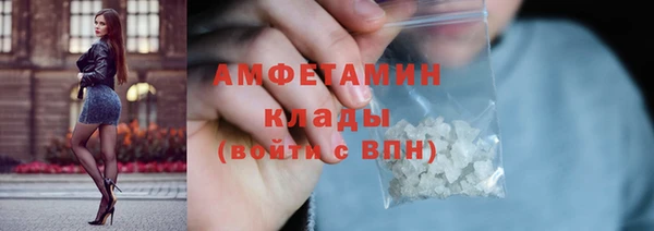 прущие грибы Семилуки