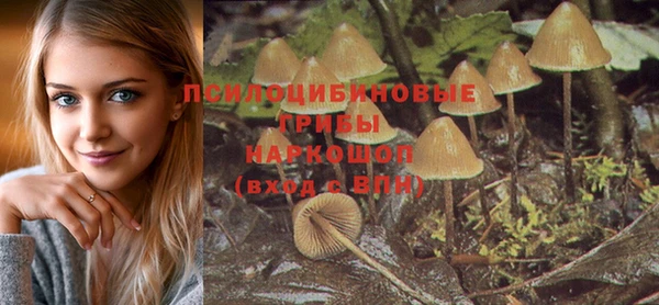 ГАЛЛЮЦИНОГЕННЫЕ ГРИБЫ Семикаракорск