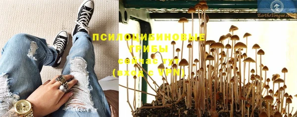ГАЛЛЮЦИНОГЕННЫЕ ГРИБЫ Семикаракорск