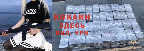 прущие грибы Семилуки