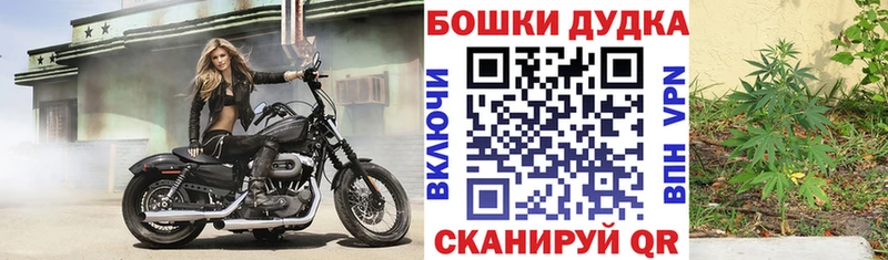 Купить где  Иланский  Бошки Шишки AK-47 